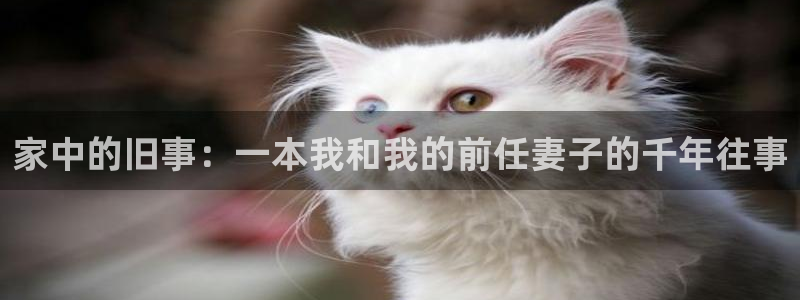 耽腐漫