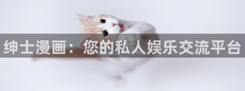 腐剧腐漫18