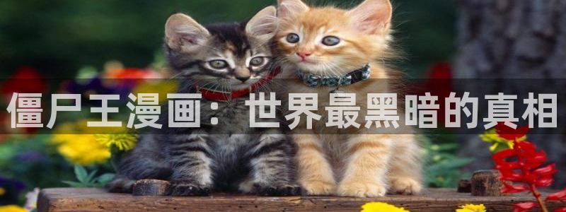 腐漫画免费下载：僵尸王漫画：世界最黑暗的真相
