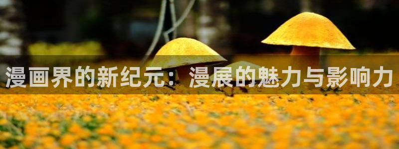 男男腐漫大全：漫画界的新纪元：漫展的魅力与影响力