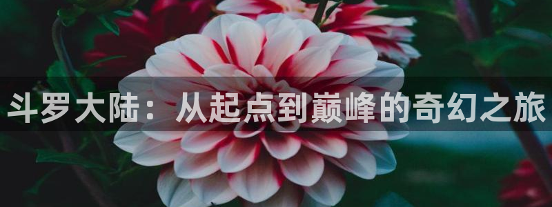 哪个app可以看腐漫：斗罗大陆：从起点到巅峰的奇幻之旅