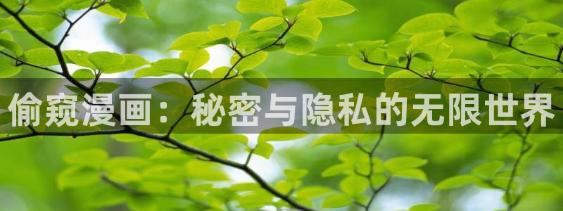 腐漫cc网：偷窥漫画：秘密与隐私的无限世界