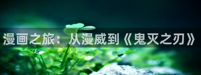 黑执事腐漫画：漫画之旅：从漫威到《鬼灭之刃》
