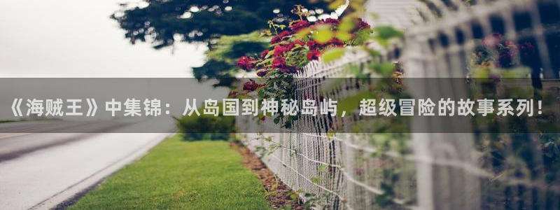 看腐漫：《海贼王》中集锦：从岛国到神秘岛屿，超级冒险的故事系列！
