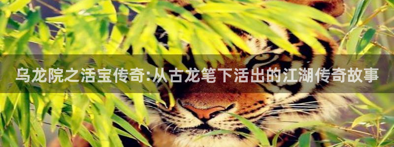 腐漫画网页：乌龙院之活宝传奇:从古龙笔下活出的江湖传奇故事