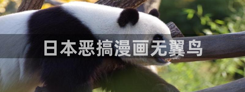 吉安腐漫下载