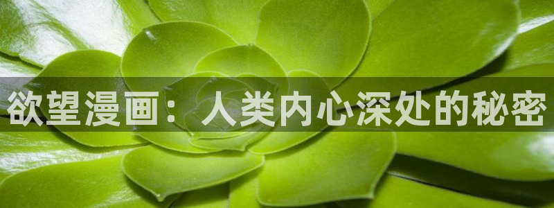 韩漫腐漫在线观看