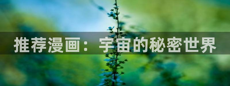 腐漫 高h