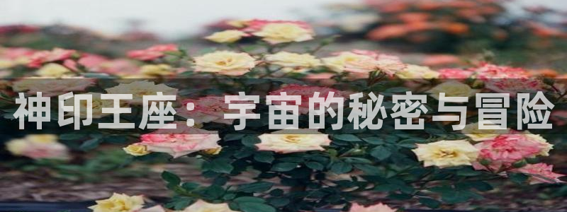 吉安腐漫下载