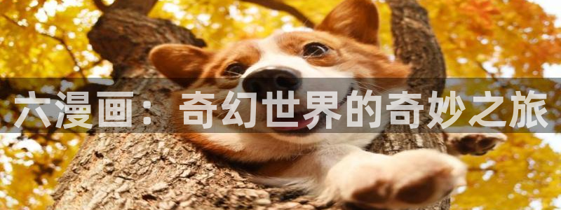 腐漫 漫画