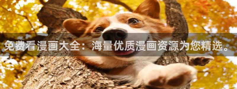 gay腐漫