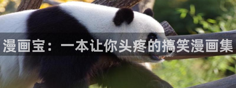 腐漫同人