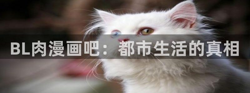 腐漫下载：BL肉漫画吧：都市生活的真相