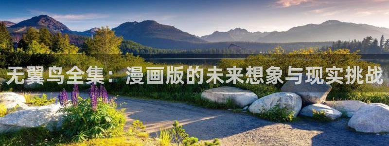 bl腐漫画网站：无翼鸟全集：漫画版的未来想象与现实挑战