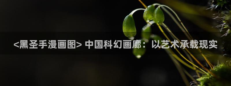 腐漫画网bl：<黑圣手漫画图> 中国科幻画廊：以艺术承载现实