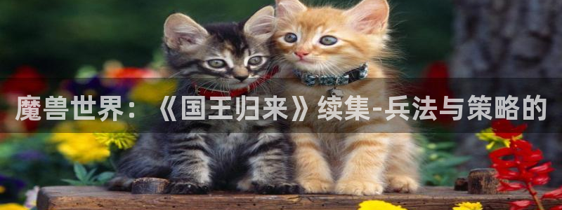 gay腐漫：魔兽世界：《国王归来》续集-兵法与策略的